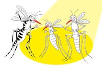 Come difendersi dalle zanzare