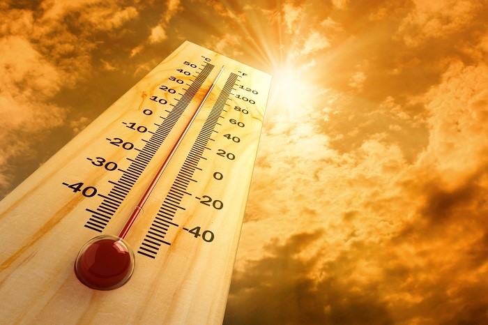 Rischio calore: come affrontare al meglio le alte temperature estive —  Ferrara Salute